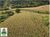 Fazenda, 20 m² - Foto 3