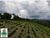 Fazenda, 20 m² - Foto 4