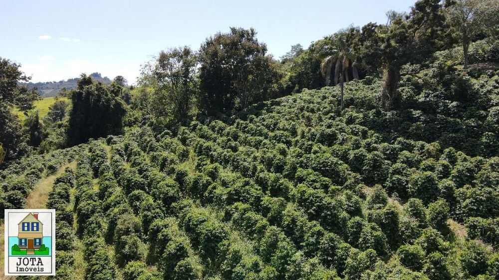 Sítio, 48 m² - Foto 3