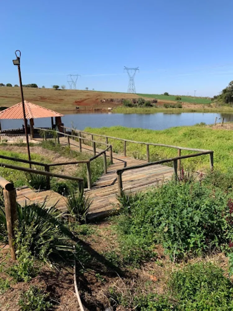 Sítio, 2 quartos, 7 hectares - Foto 4