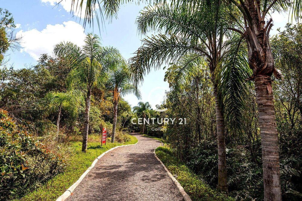 Loteamento e Condomínio, 450 m² - Foto 7