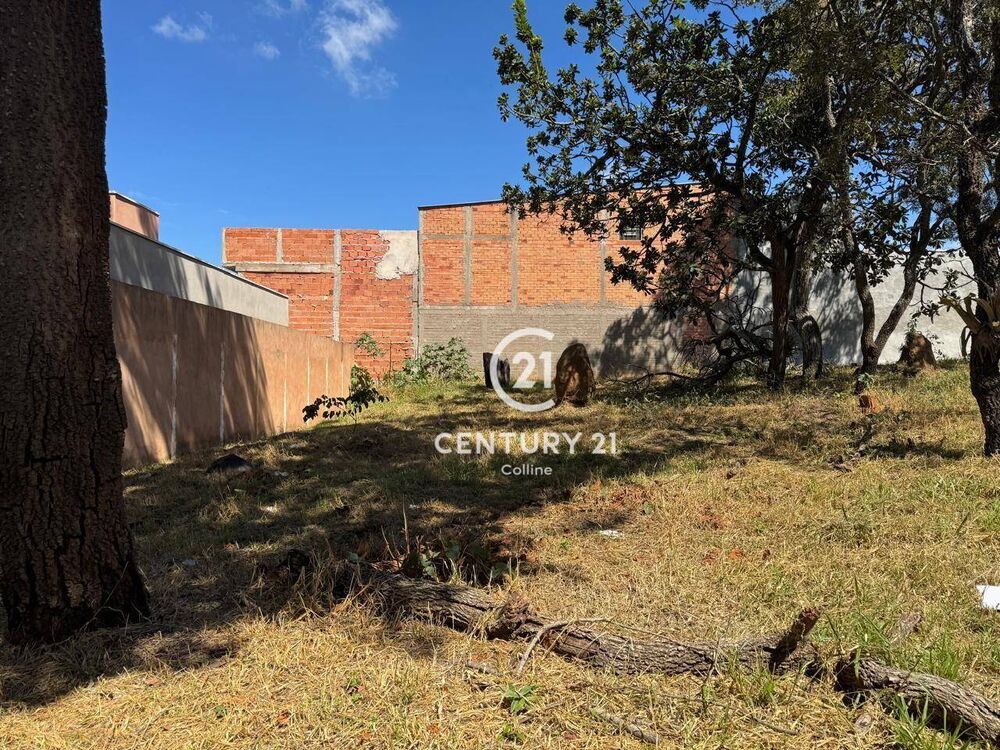 Terreno, 300 m² - Foto 4