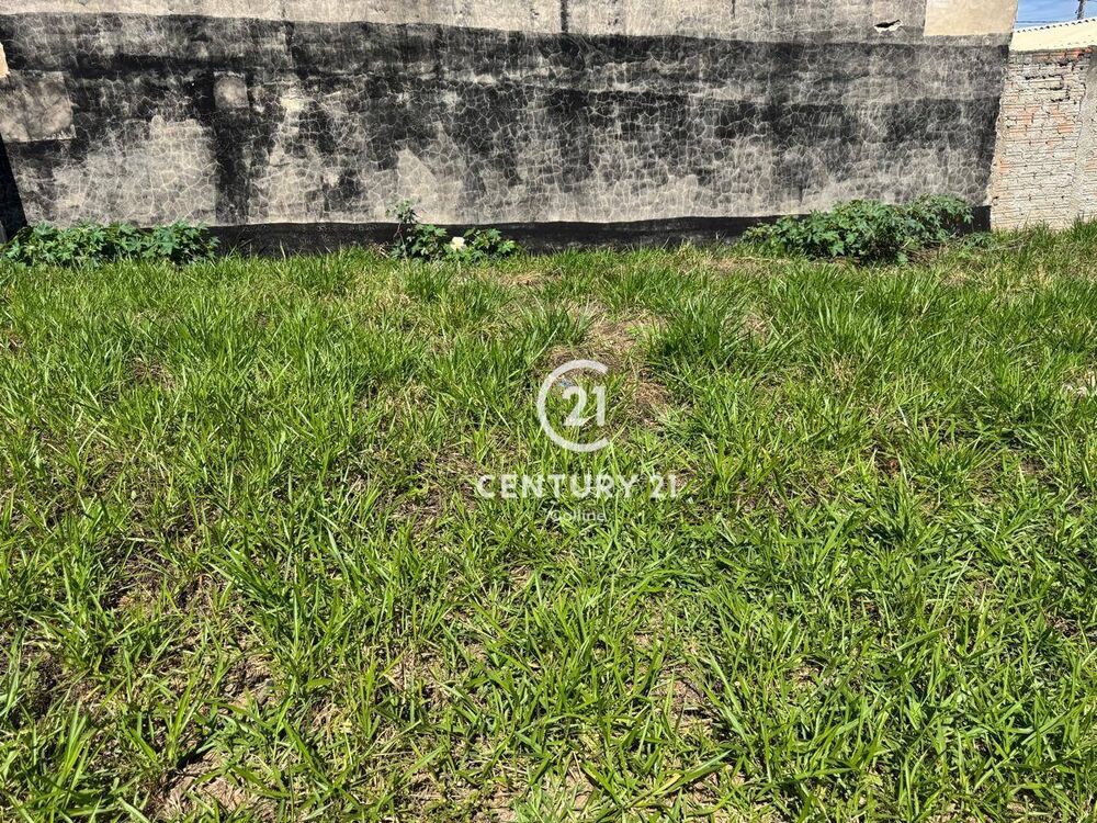 Terreno, 250 m² - Foto 4