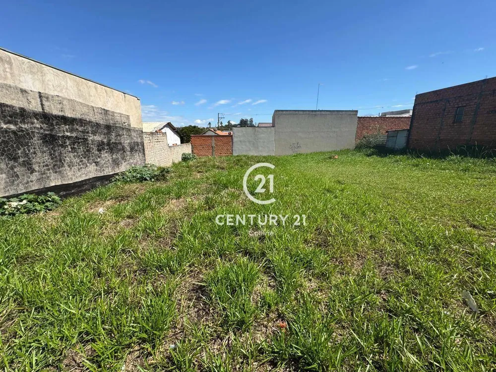 Terreno, 250 m² - Foto 6