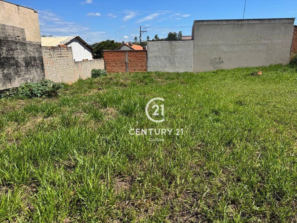 Terreno, 250 m² - Foto 3