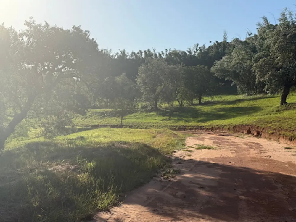 Loteamento e Condomínio, 450 m² - Foto 4