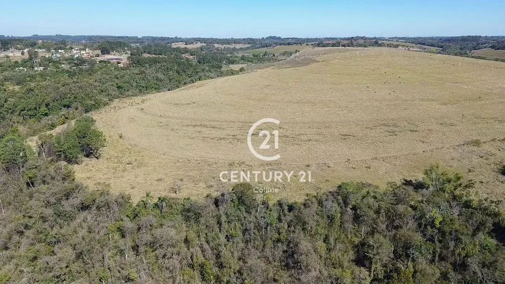 Fazenda, 196 hectares - Foto 6