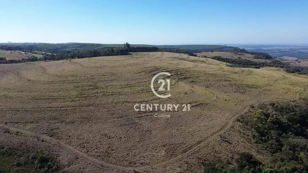 Fazenda, 196 hectares - Foto 8