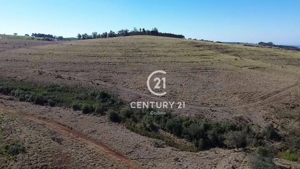 Fazenda, 196 hectares - Foto 4