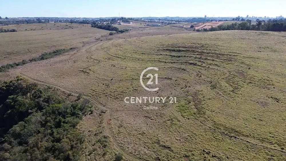 Fazenda, 196 hectares - Foto 3