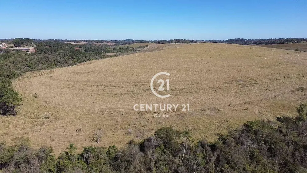 Fazenda, 196 hectares - Foto 7