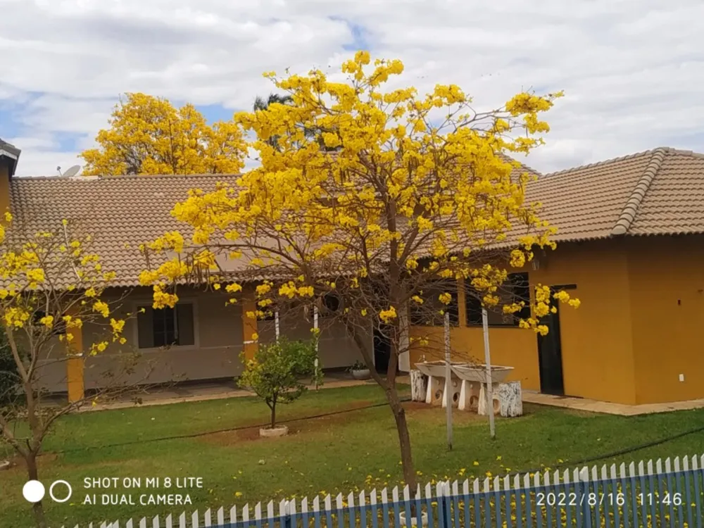 Terreno, 450 m² - Foto 5