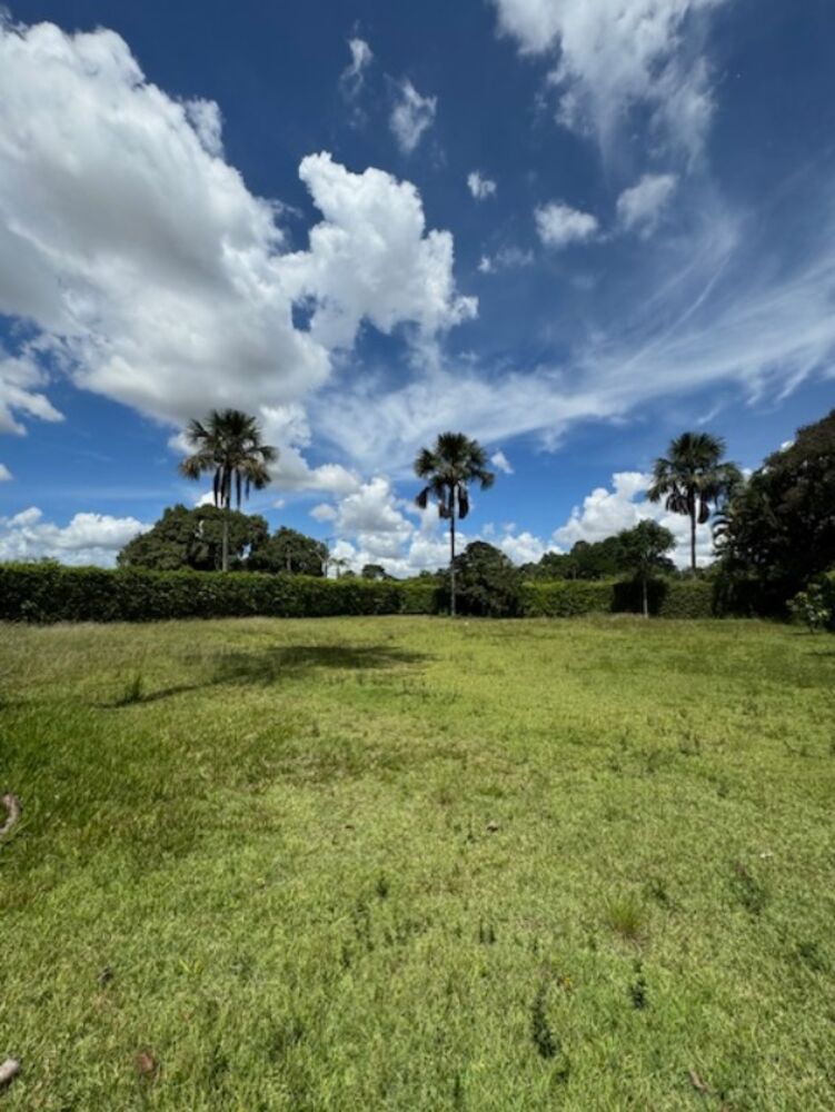 Casa, 4 quartos - Foto 3