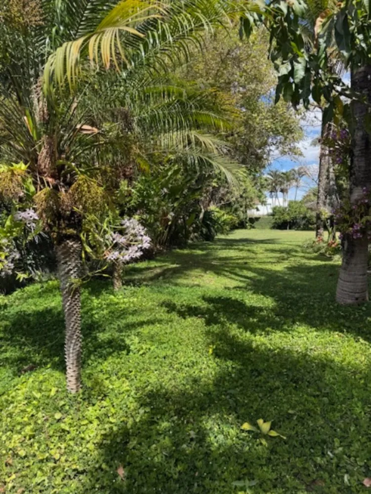 Casa, 4 quartos - Foto 4
