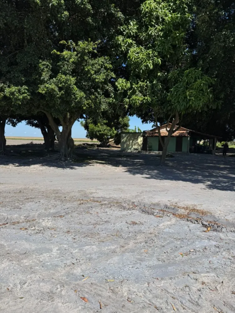 Fazenda - Foto 6