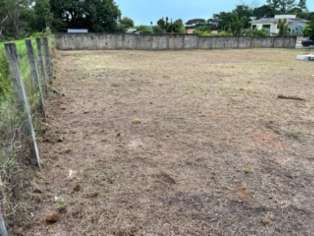 Terreno, 2 hectares - Foto 5