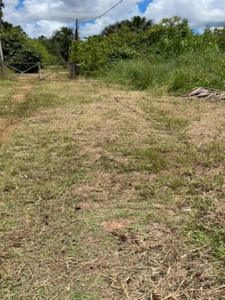 Terreno, 2 hectares - Foto 3