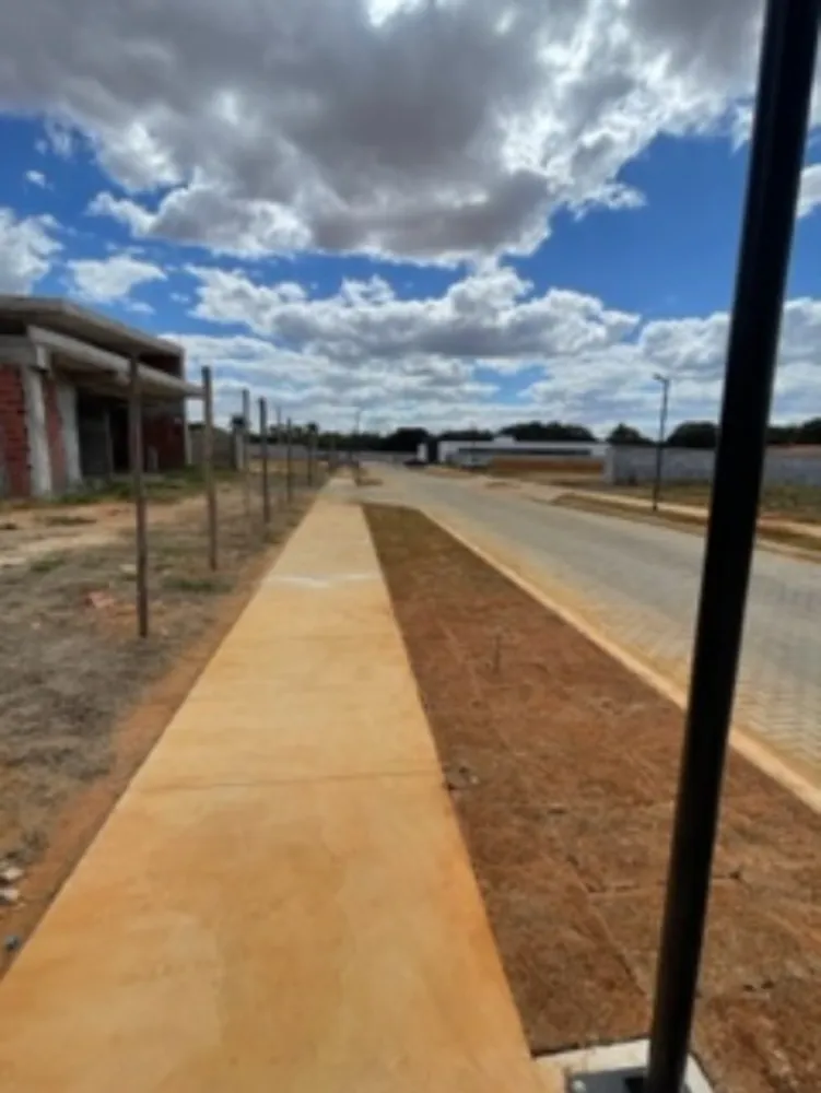 Terreno, 250 hectares - Foto 7