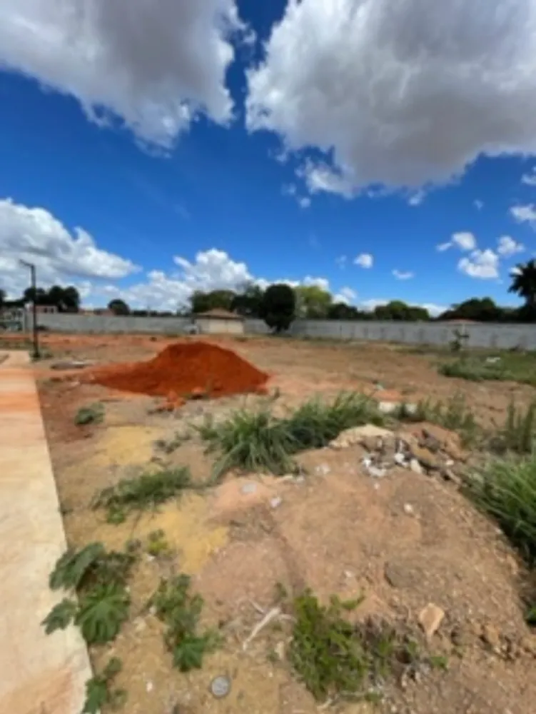 Terreno, 250 hectares - Foto 4