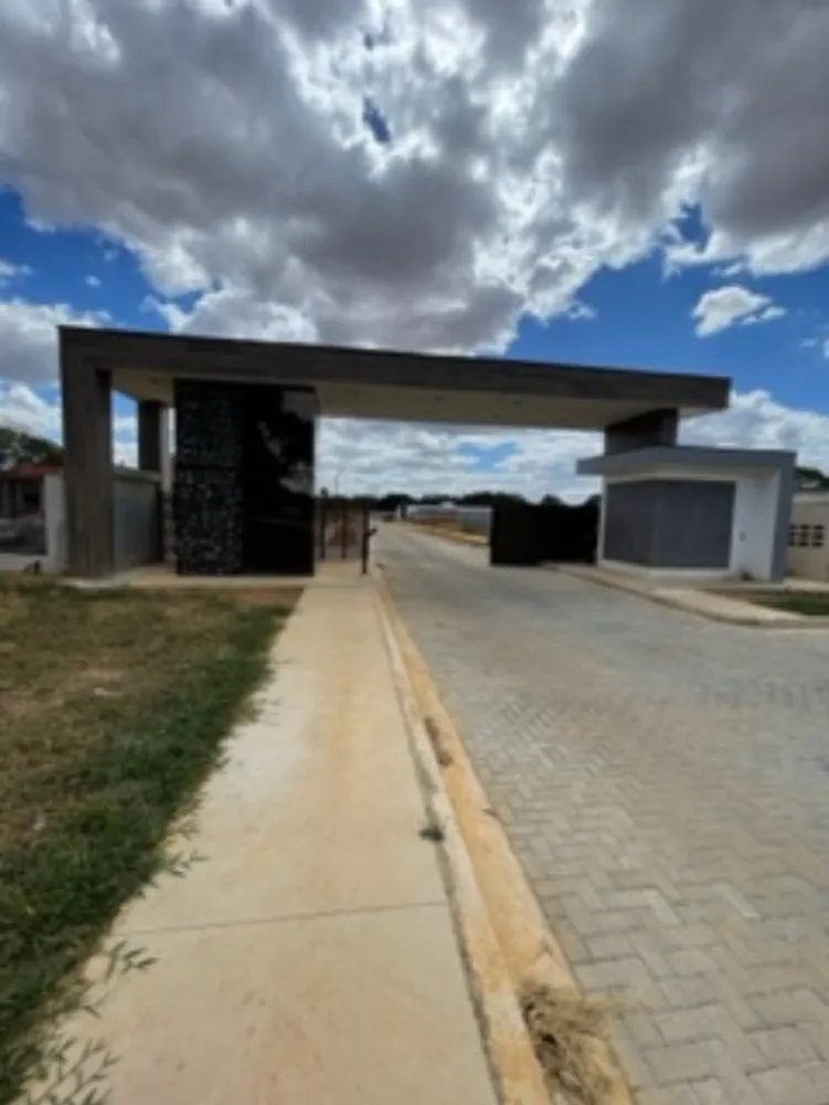 Terreno, 250 hectares - Foto 2