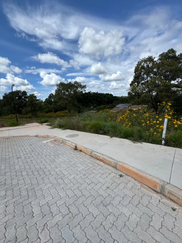 Terreno, 5000 m² - Foto 4