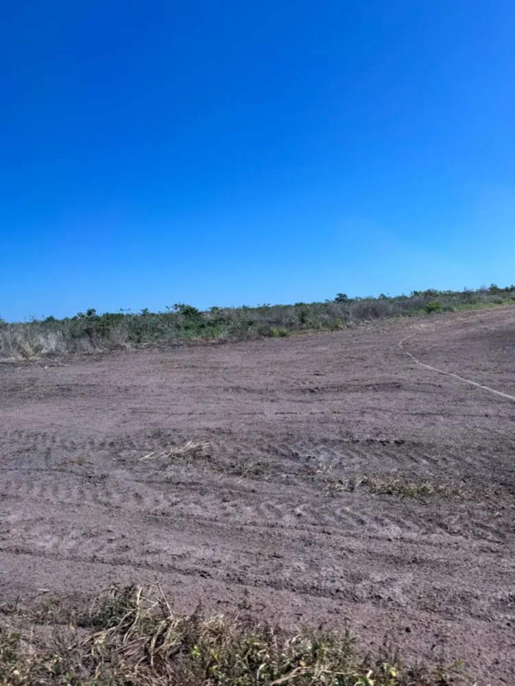 Fazenda - Foto 9