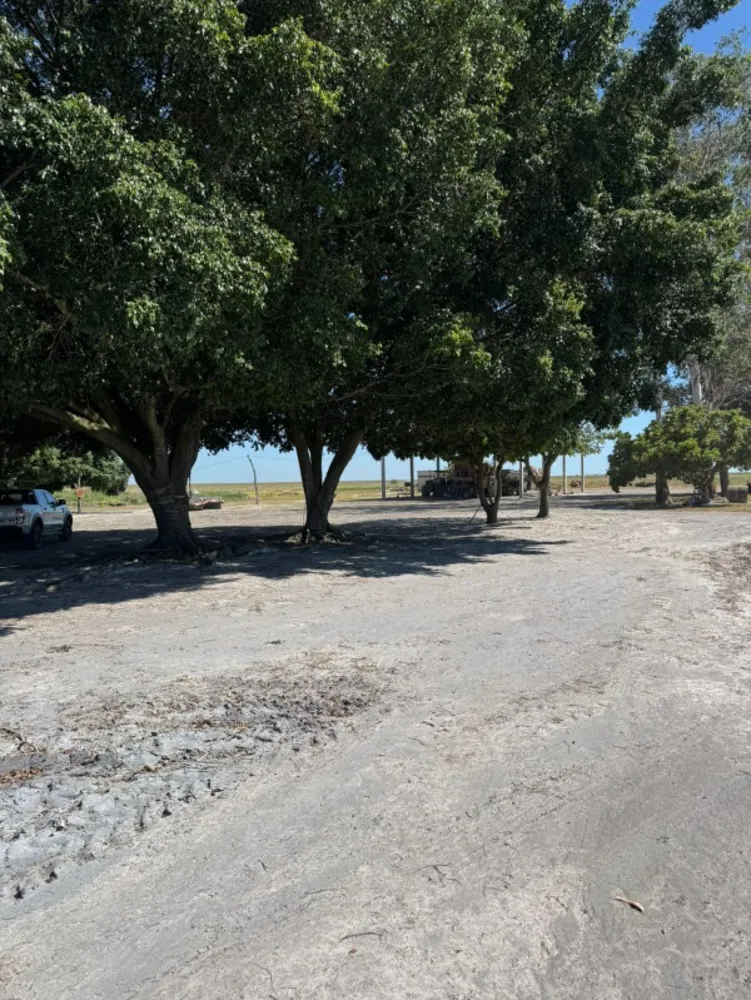 Fazenda - Foto 6