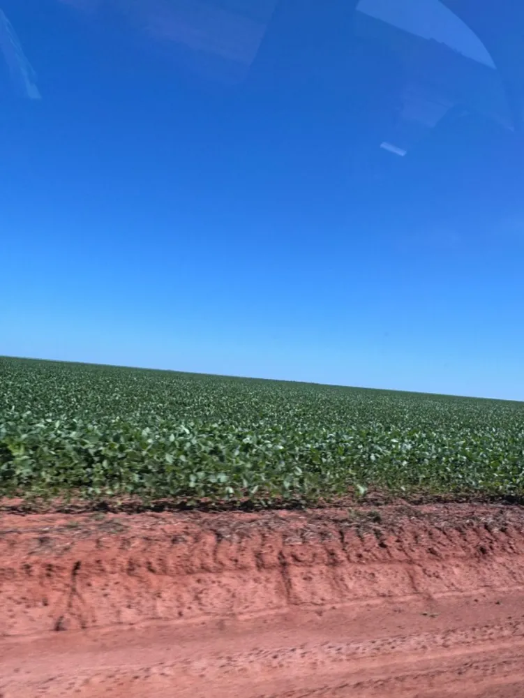 Fazenda - Foto 1
