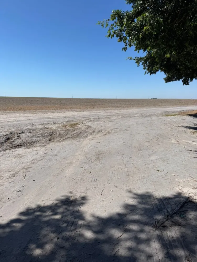 Fazenda - Foto 5