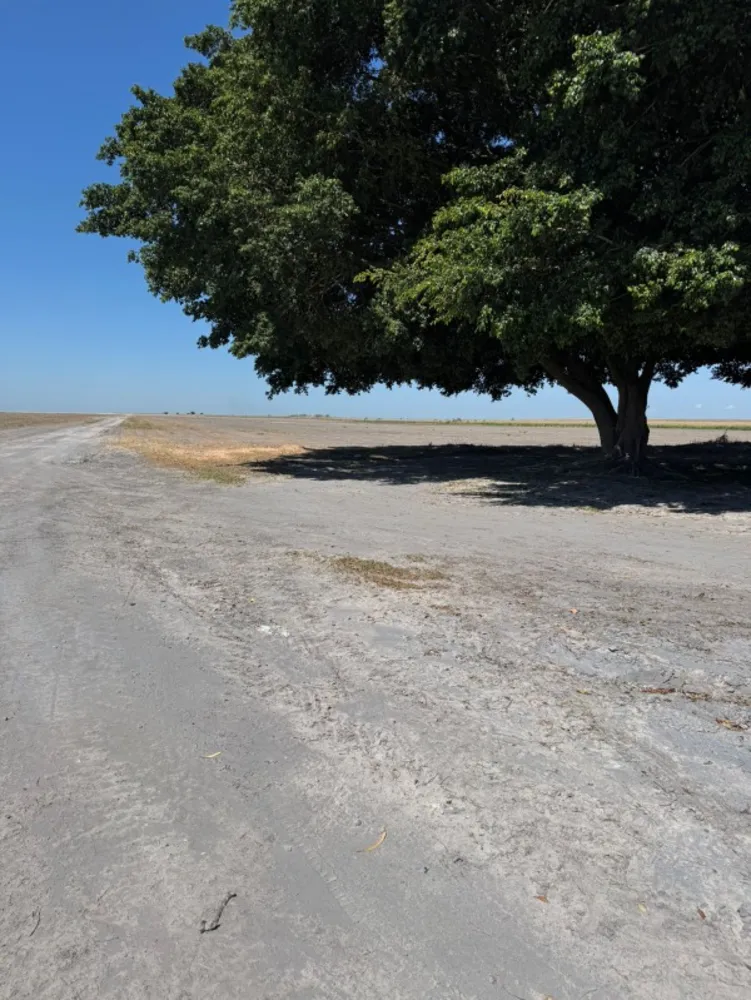 Fazenda - Foto 3