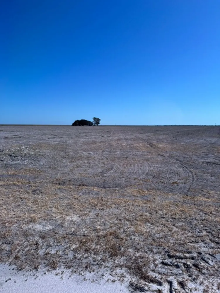 Fazenda - Foto 4