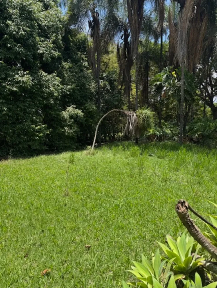 Terreno, 2500 m² - Foto 4