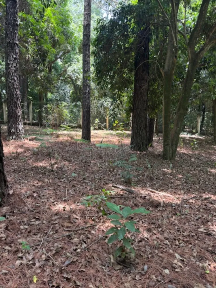 Terreno, 2500 m² - Foto 8