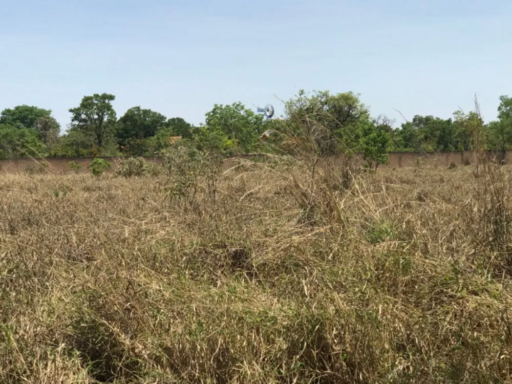 Terreno, 3 hectares - Foto 1