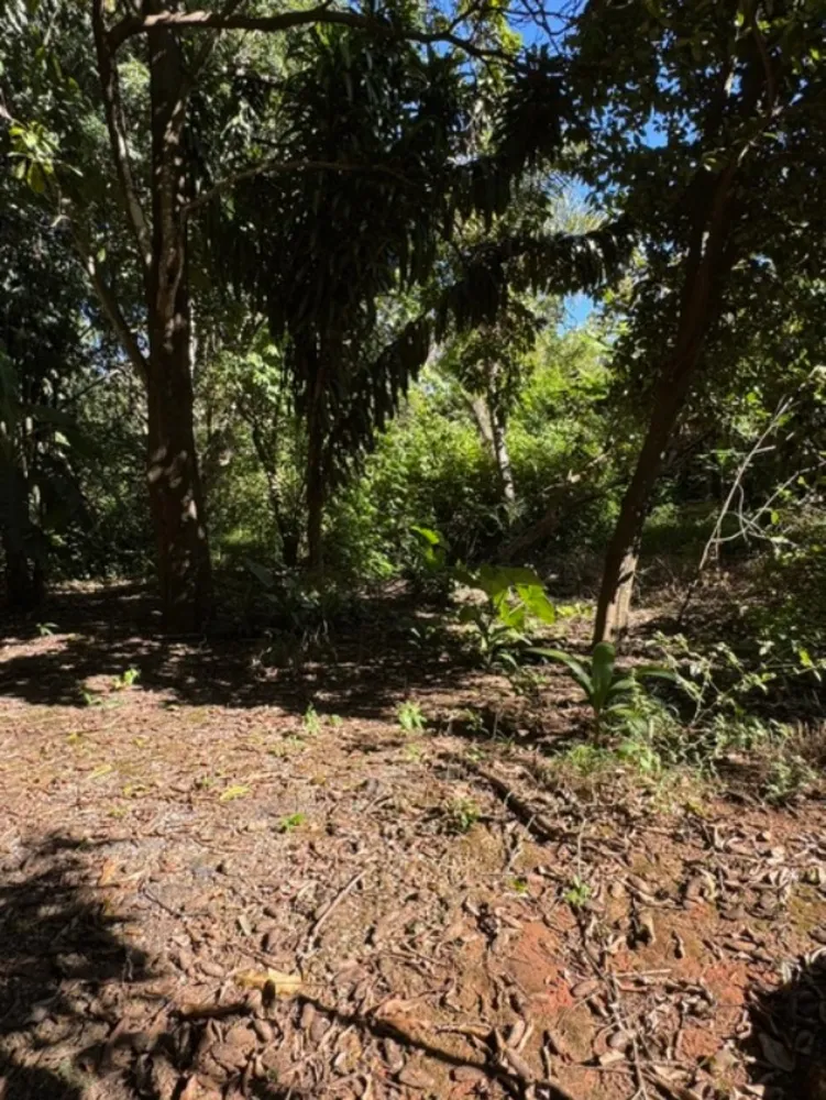 Chácara, 2 quartos - Foto 6