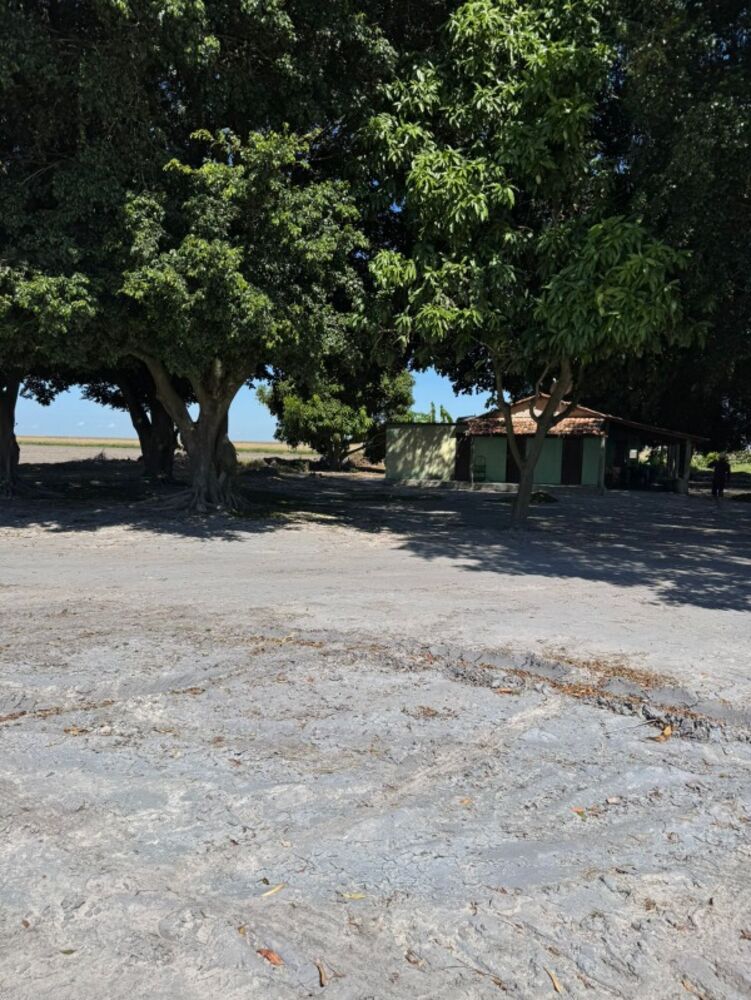Fazenda - Foto 4