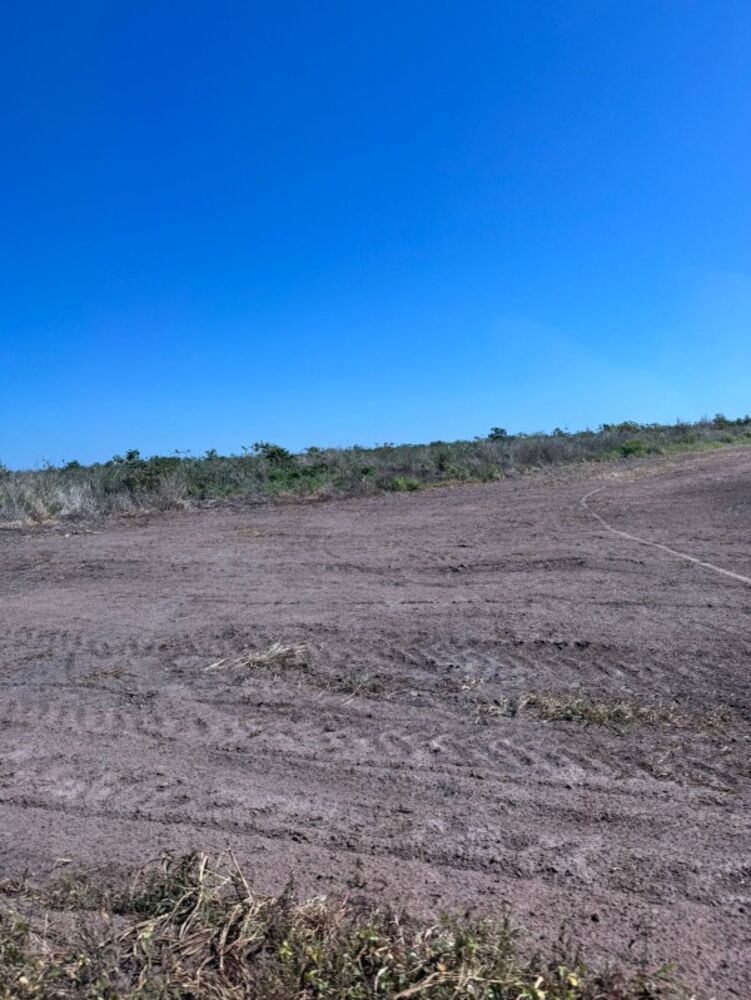 Fazenda - Foto 3