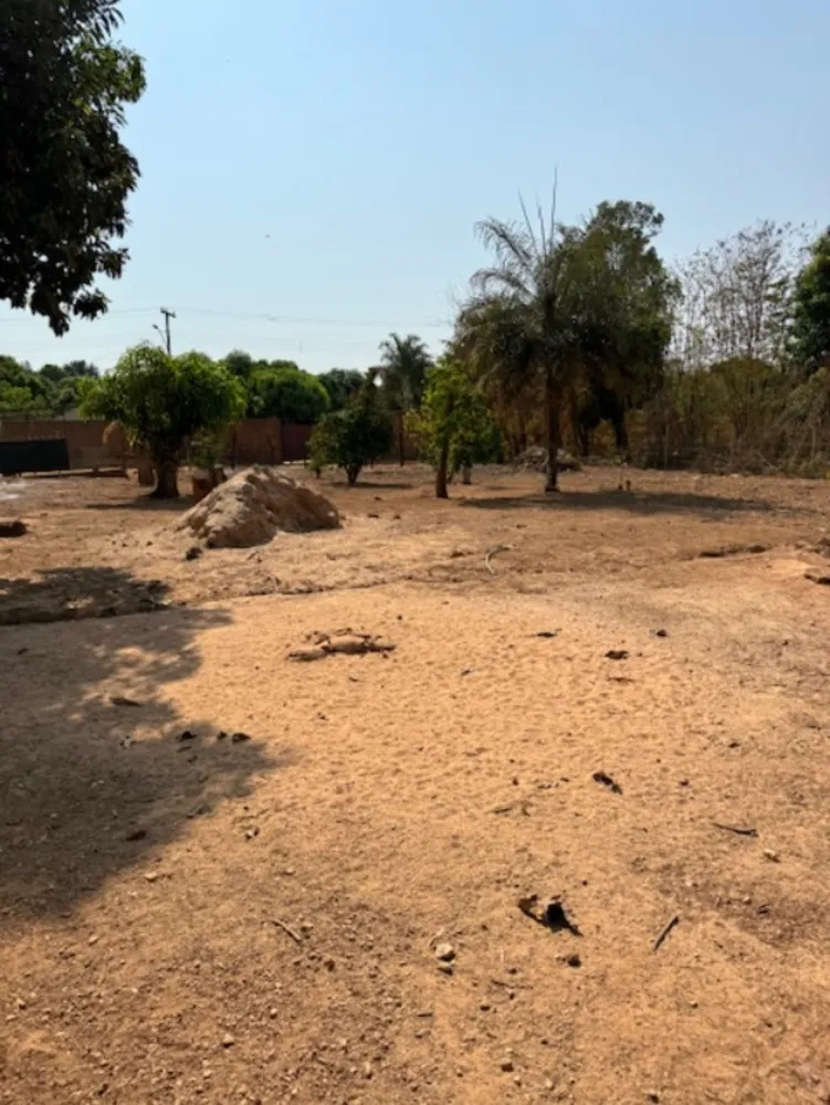 Terreno, 6800 m² - Foto 5