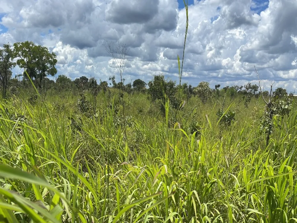 Loteamento e Condomínio, 2 hectares - Foto 1