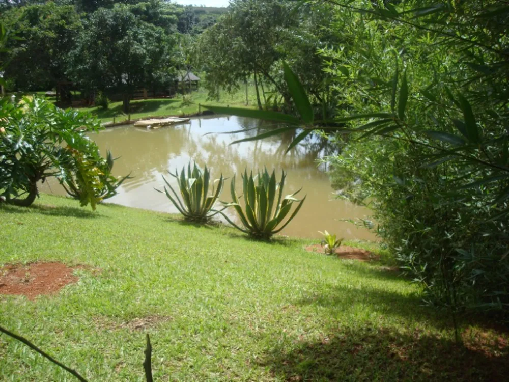 Sítio, 4 quartos, 3 hectares - Foto 6