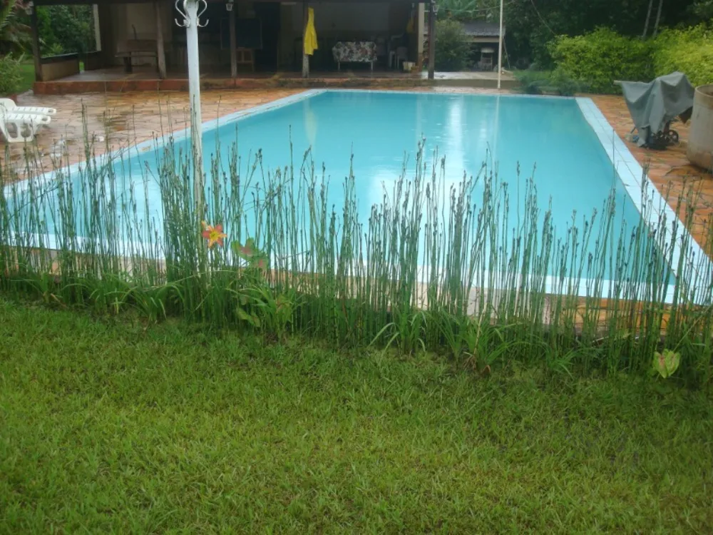 Sítio, 4 quartos, 3 hectares - Foto 3