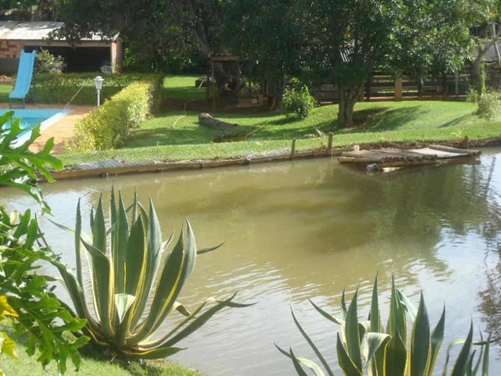 Sítio, 4 quartos, 3 hectares - Foto 4