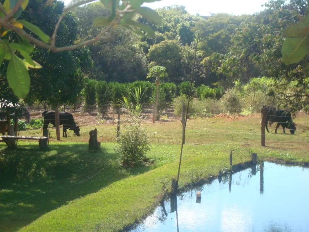 Sítio, 4 quartos, 3 hectares - Foto 1