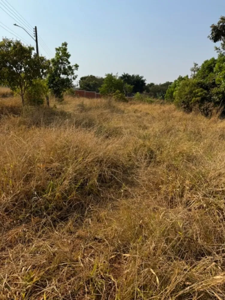 Chácara, 4 quartos, 1 hectares - Foto 8