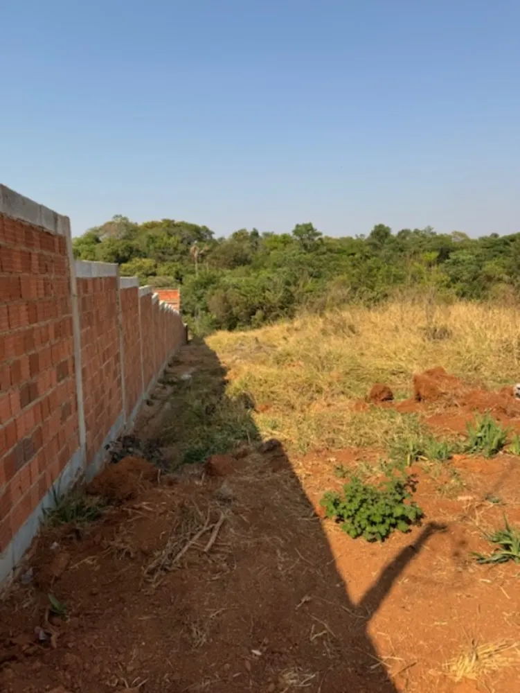 Chácara, 4 quartos, 1 hectares - Foto 7