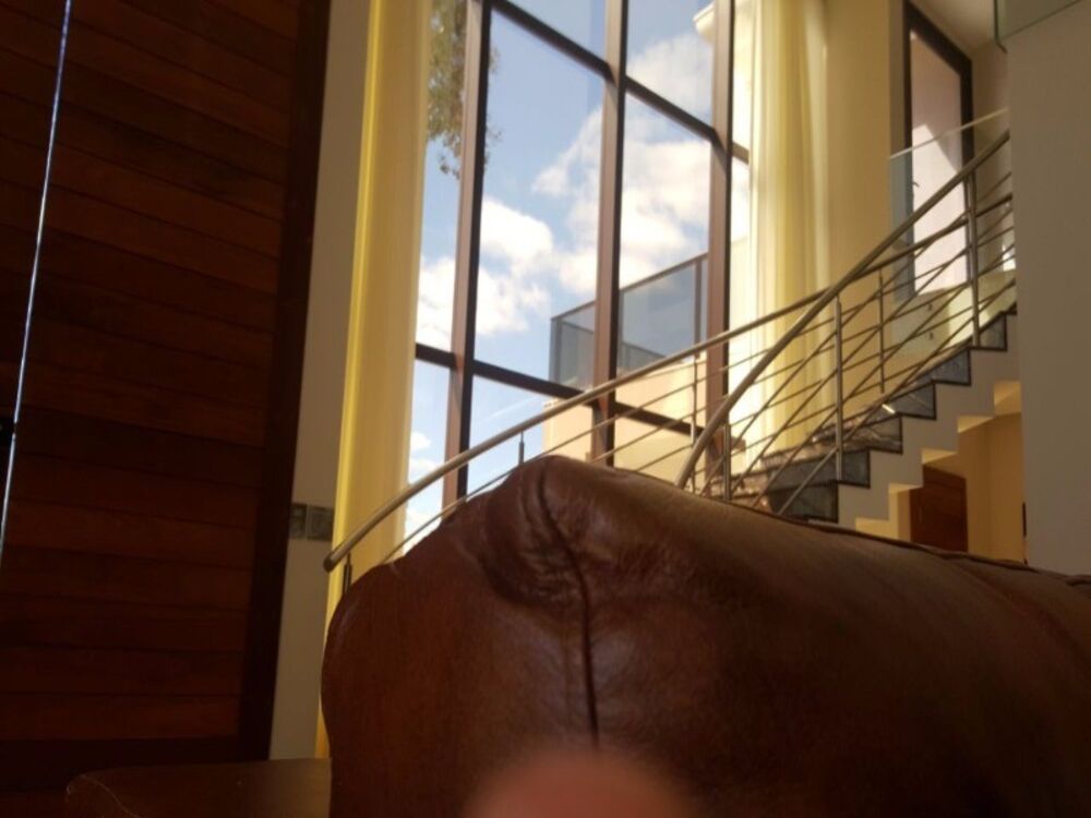 Casa, 4 quartos, 450 m² - Foto 12