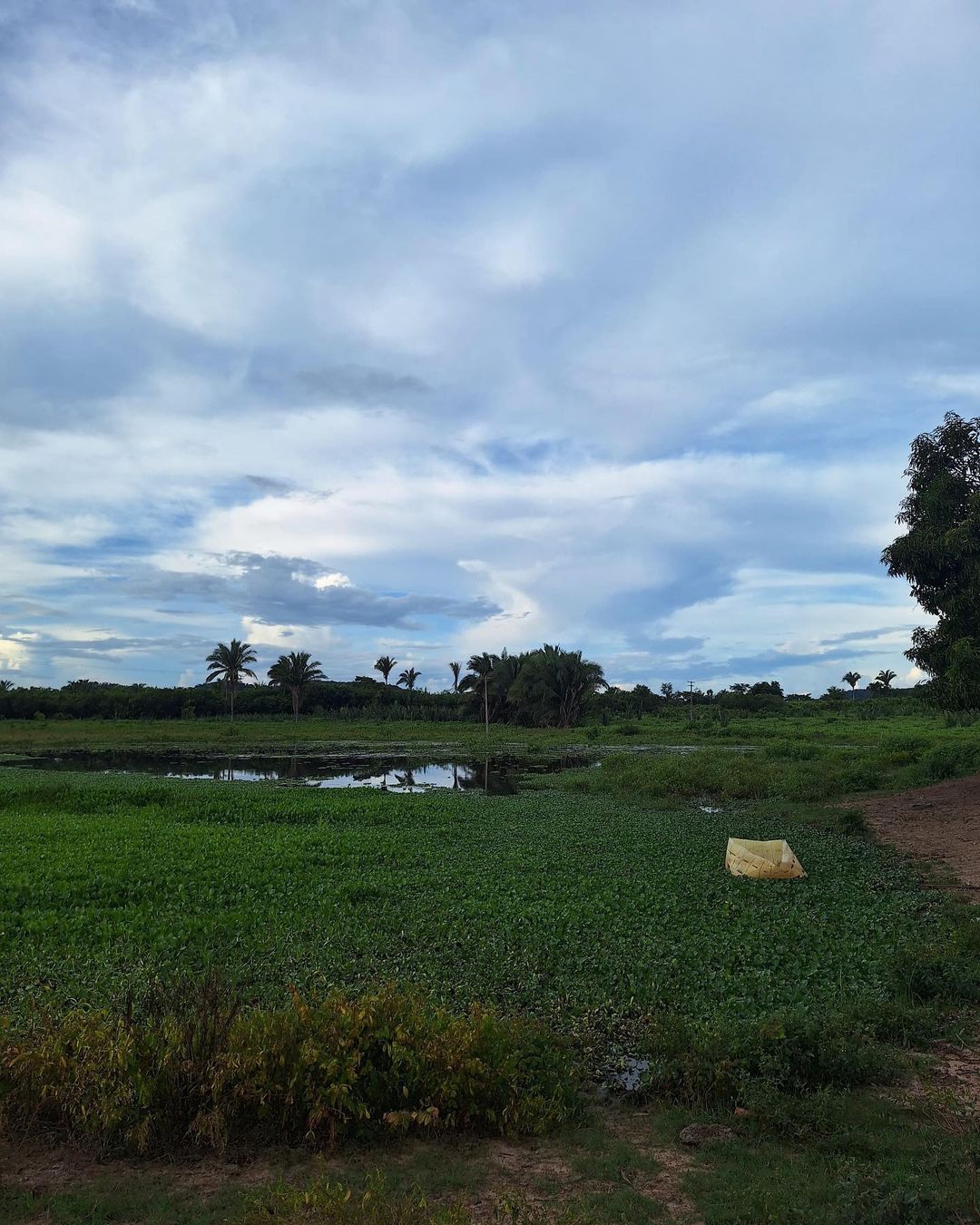 Fazenda à venda, 359m² - Foto 7