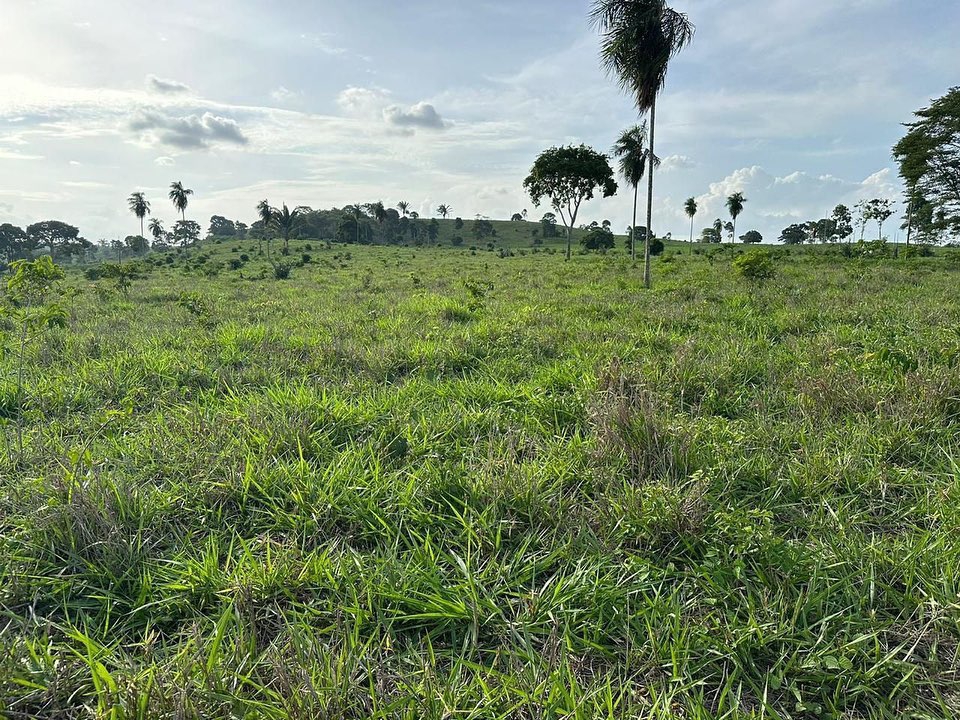 Fazenda à venda, 164m² - Foto 5