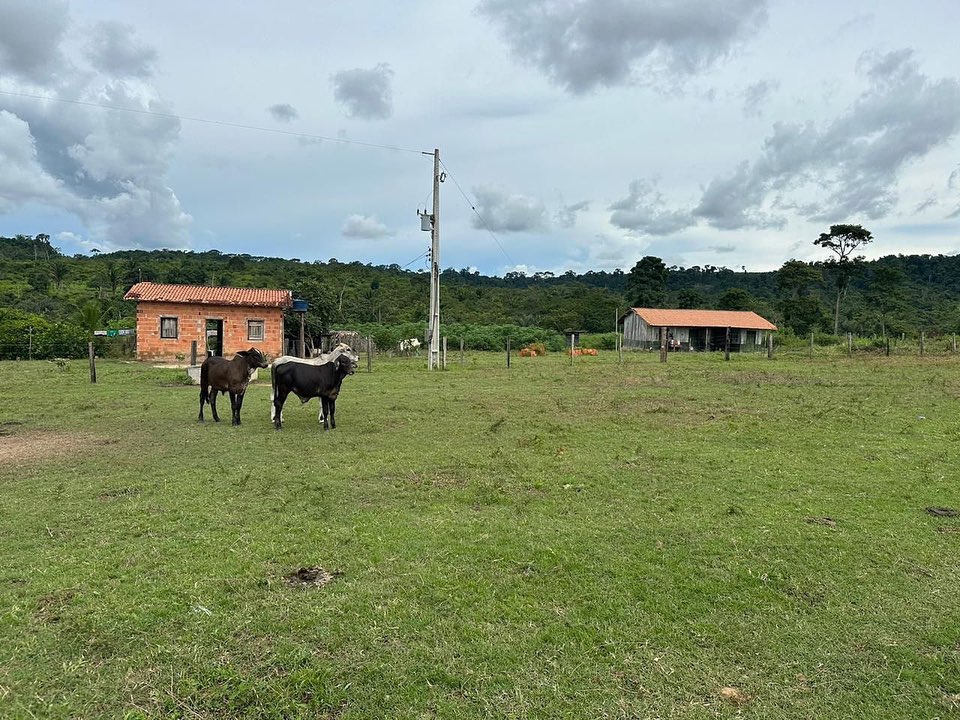 Fazenda à venda, 164m² - Foto 15