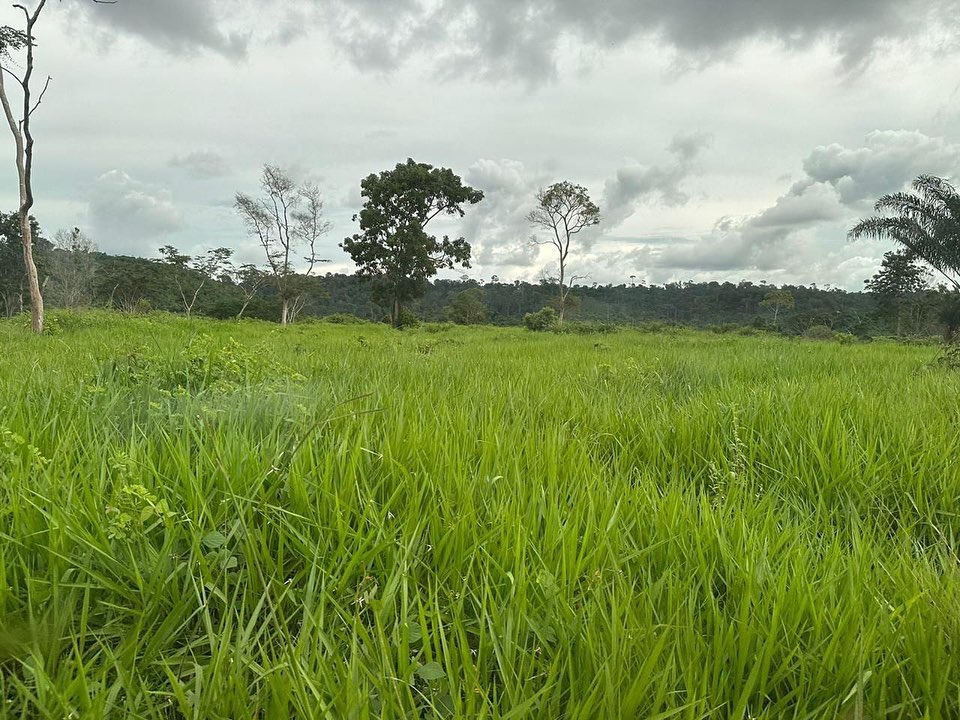 Fazenda à venda, 164m² - Foto 14